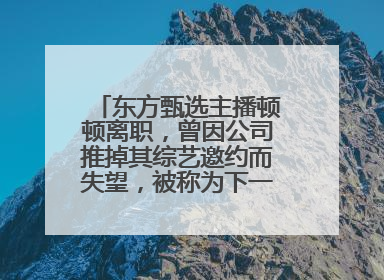东方甄选主播顿顿离职，曾因公司推掉其综艺邀约而失望，被称为下一个董宇辉