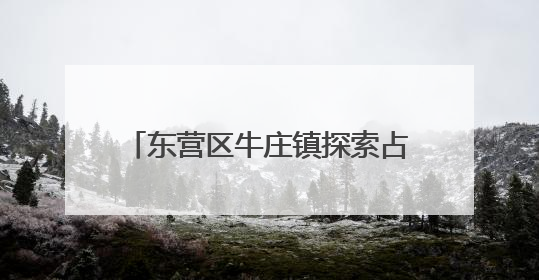 东营区牛庄镇探索占道晒粮治理新路径
