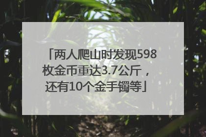 两人爬山时发现598枚金币重达3.7公斤，还有10个金手镯等