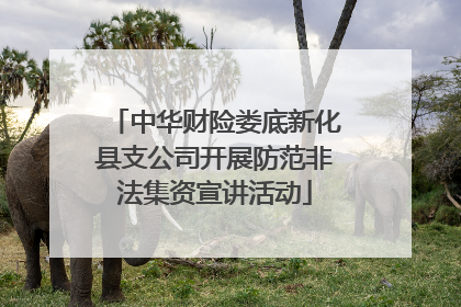 中华财险娄底新化县支公司开展防范非法集资宣讲活动