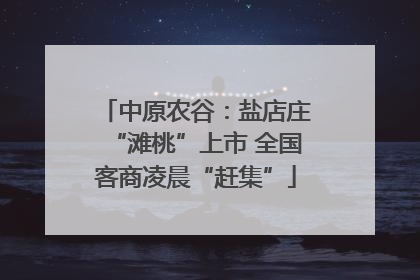 中原农谷：盐店庄“滩桃”上市 全国客商凌晨“赶集”