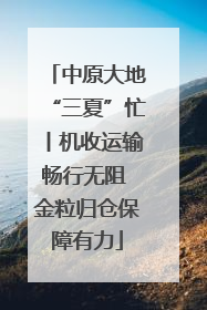 中原大地“三夏”忙丨机收运输畅行无阻 金粒归仓保障有力