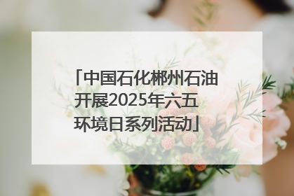 中国石化郴州石油开展2025年六五环境日系列活动