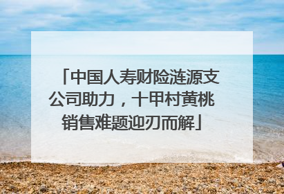 中国人寿财险涟源支公司助力，十甲村黄桃销售难题迎刃而解