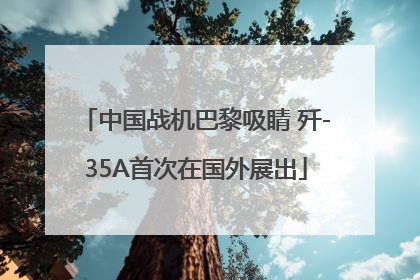 中国战机巴黎吸睛 歼-35A首次在国外展出