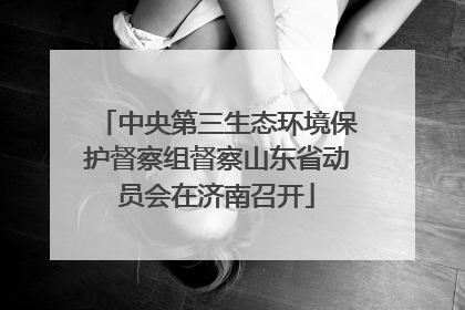 中央第三生态环境保护督察组督察山东省动员会在济南召开