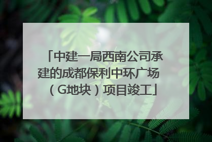 中建一局西南公司承建的成都保利中环广场（G地块）项目竣工
