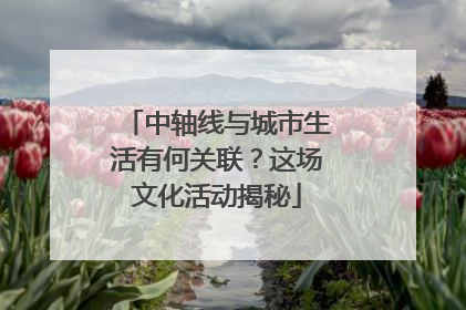 中轴线与城市生活有何关联？这场文化活动揭秘