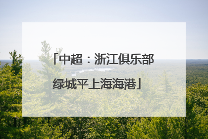 中超：浙江俱乐部绿城平上海海港