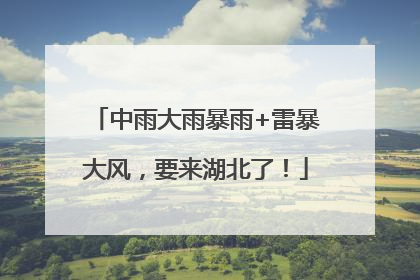 中雨大雨暴雨+雷暴大风，要来湖北了！