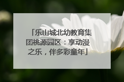 乐山城北幼教育集团桃源园区：享动漫之乐，伴多彩童年
