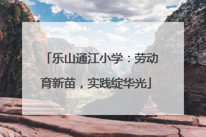 乐山通江小学：劳动育新苗，实践绽华光