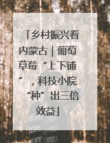 乡村振兴看内蒙古｜葡萄草莓“上下铺”，科技小院“种”出三倍效益