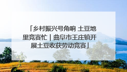 乡村振兴号角响 土豆地里竞赛忙｜曲阜市王庄镇开展土豆收获劳动竞赛