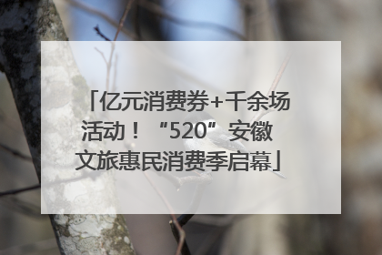 亿元消费券+千余场活动！“520”安徽文旅惠民消费季启幕