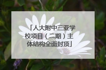 人大附中三亚学校项目（二期）主体结构全面封顶