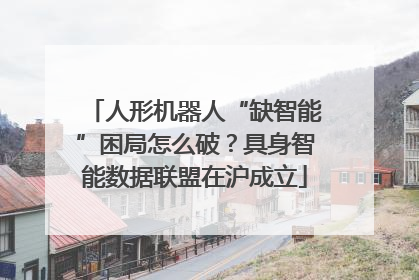 人形机器人“缺智能”困局怎么破？具身智能数据联盟在沪成立