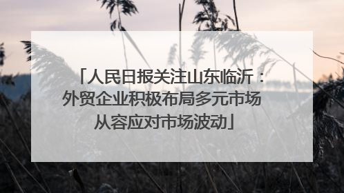 人民日报关注山东临沂：外贸企业积极布局多元市场 从容应对市场波动