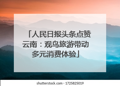 人民日报头条点赞云南：观鸟旅游带动多元消费体验