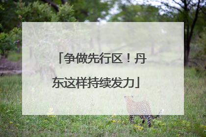 争做先行区！丹东这样持续发力