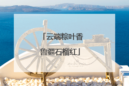 云端粽叶香 鲁疆石榴红