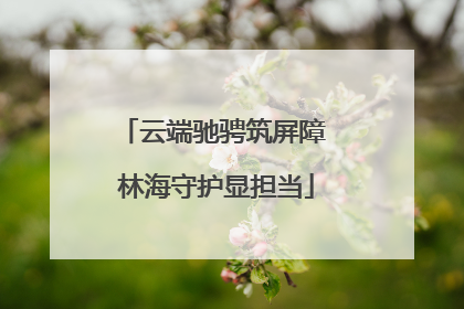 云端驰骋筑屏障 林海守护显担当