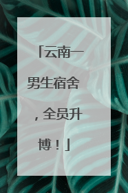 云南一男生宿舍，全员升博！