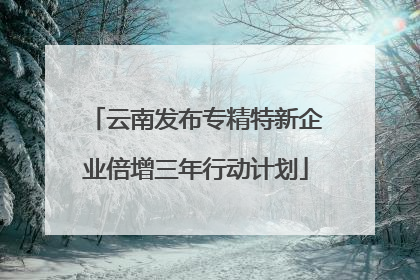 云南发布专精特新企业倍增三年行动计划