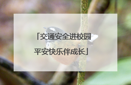 交通安全进校园 平安快乐伴成长