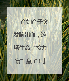 产妇产子突发脑出血，这场生命“接力赛”赢了！