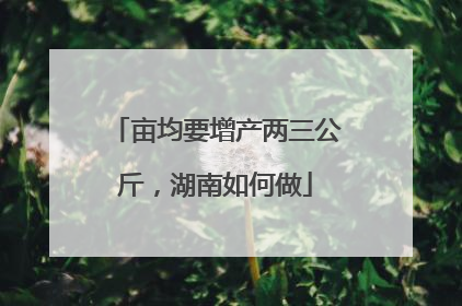 亩均要增产两三公斤，湖南如何做