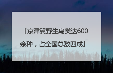 京津冀野生鸟类达600余种，占全国总数四成