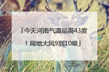 今天河南气温最高43度！局地大风9到10级