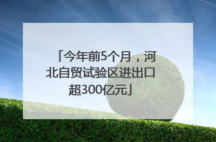 今年前5个月，河北自贸试验区进出口超300亿元