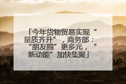 今年货物贸易实现“量质齐升”，商务部：“朋友圈”更多元，“新动能”加快集聚