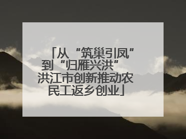 从“筑巢引凤”到“归雁兴洪” 洪江市创新推动农民工返乡创业