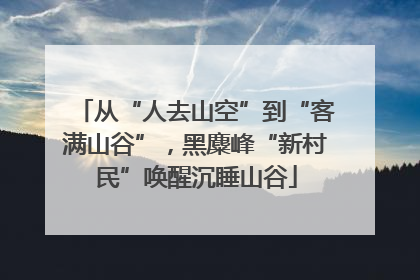 从“人去山空”到“客满山谷”，黑麋峰“新村民”唤醒沉睡山谷