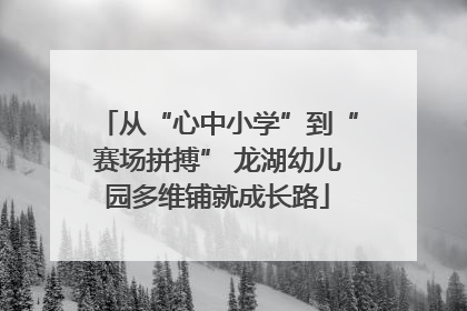 从“心中小学”到“赛场拼搏” 龙湖幼儿园多维铺就成长路
