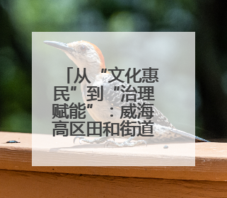 从“文化惠民”到“治理赋能”：威海高区田和街道社区大学如何激活基层服务新动能
