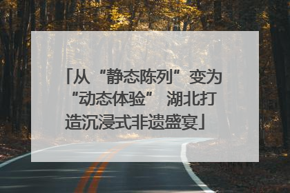 从“静态陈列”变为“动态体验” 湖北打造沉浸式非遗盛宴