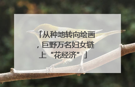 从种地转向绘画，巨野万名妇女链上“花经济”