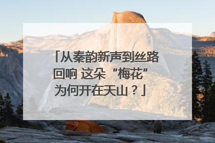 从秦韵新声到丝路回响 这朵“梅花”为何开在天山？