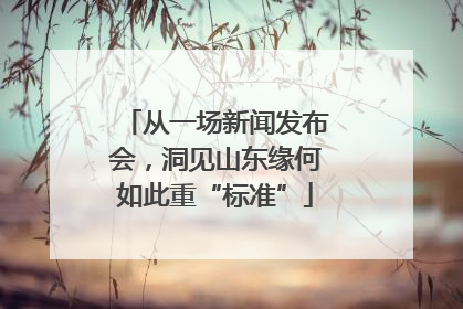 从一场新闻发布会，洞见山东缘何如此重“标准”