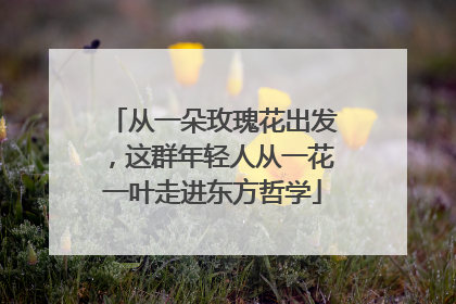 从一朵玫瑰花出发，这群年轻人从一花一叶走进东方哲学