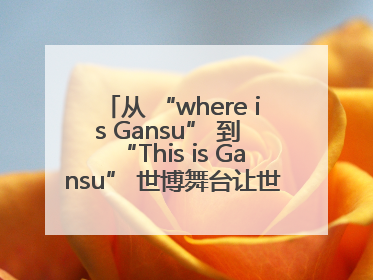 从 “where is Gansu” 到 “This is Gansu” 世博舞台让世界认识了甘肃