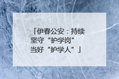 伊春公安：持续坚守“护学岗” 当好“护学人”