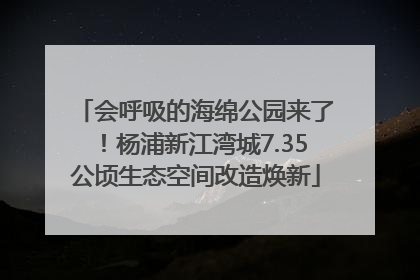会呼吸的海绵公园来了！杨浦新江湾城7.35公顷生态空间改造焕新