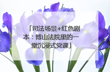 司法场景+红色剧本：博山法院里的一堂沉浸式党课