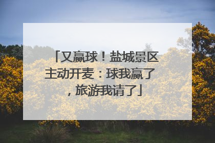 又赢球！盐城景区主动开麦：球我赢了，旅游我请了
