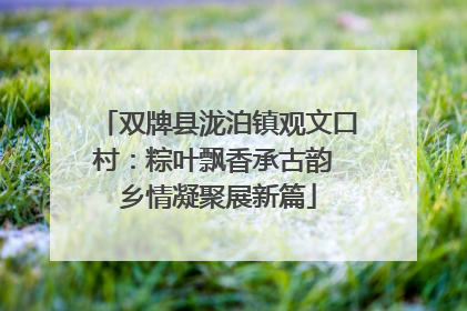 双牌县泷泊镇观文口村：粽叶飘香承古韵 乡情凝聚展新篇